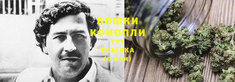 hydra маркетплейс  закладки  Петровск  Конопля OG Kush 